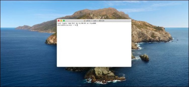 How To Change The Default Shell To Bash On MacOS Catalina