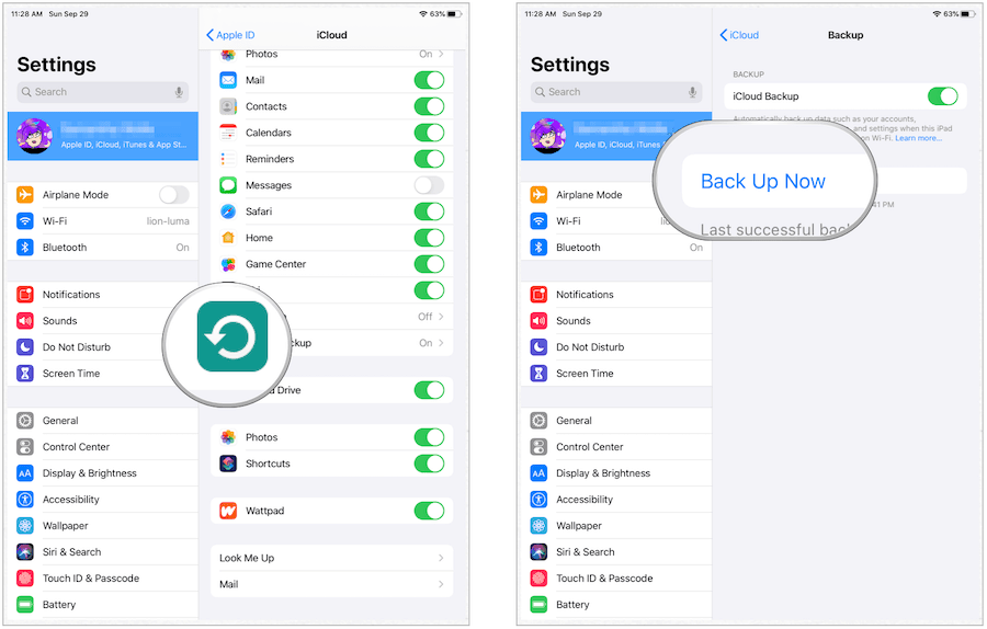 iPad backup